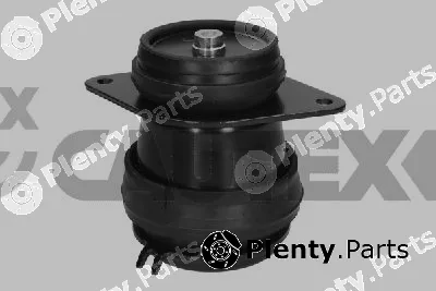 Cautex 775193 — Mounting, engine