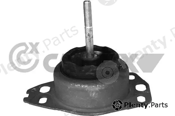 Cautex 756113 — Mounting, engine
