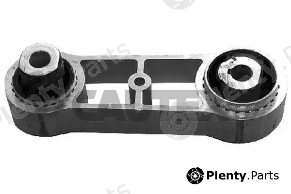 Cautex 020510 — Mounting, engine