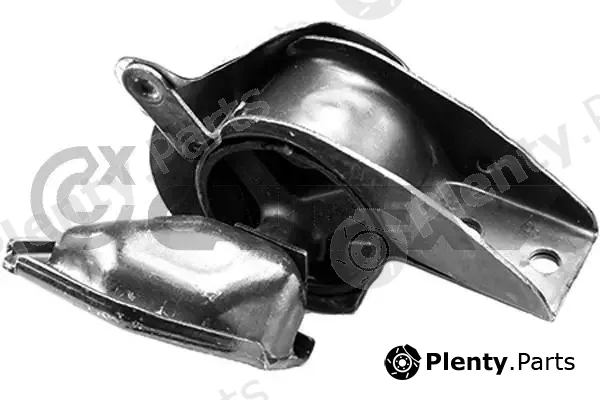 Cautex 755973 — Mounting, engine