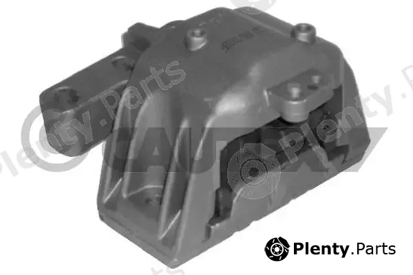Cautex 460936 — Mounting, engine