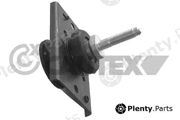 Cautex 020511 — Mounting, engine