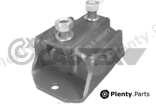Cautex 766662 — Mounting, engine