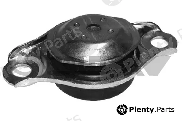 Cautex 756093 — Mounting, engine