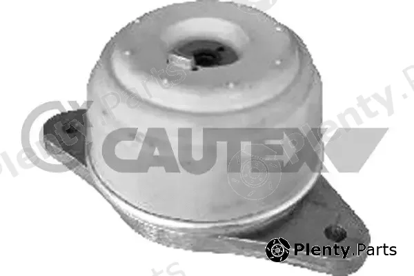 Cautex 773739 — Mounting, engine