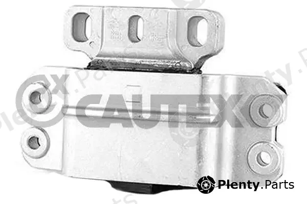 Cautex 756308 — Mounting, engine