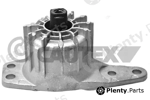 Cautex 756232 — Mounting, engine