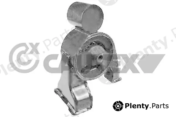 Cautex 770438 — Mounting, engine