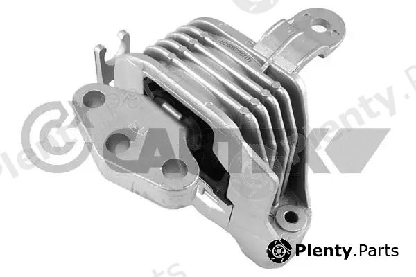 Cautex 756485 — Mounting, engine
