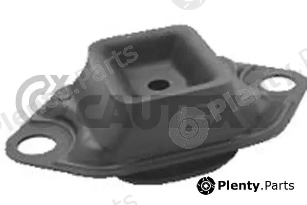 Cautex 756220 — Mounting, engine
