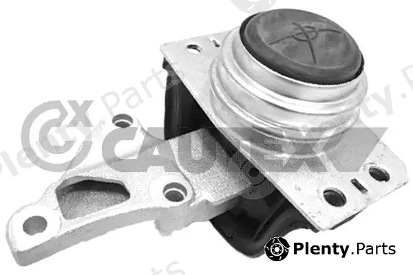 Cautex 031507 — Mounting, engine