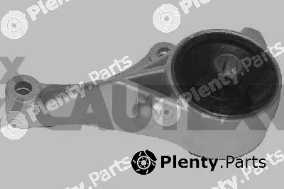 Cautex 480554 — Mounting, engine