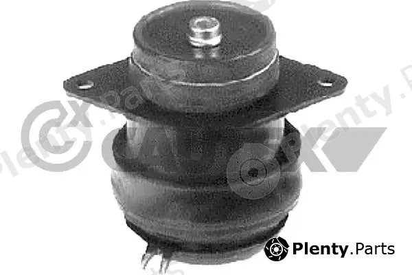 Cautex 760571 — Mounting, engine