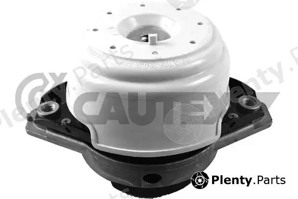Cautex 760644 — Mounting, engine