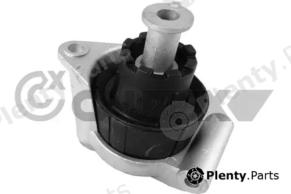 Cautex 480502 — Mounting, engine