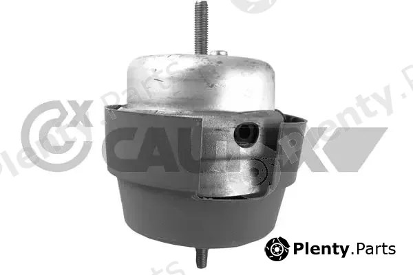 Cautex 756448 — Mounting, engine