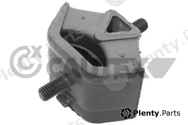 Cautex 200010 — Mounting, engine