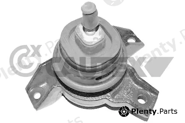 Cautex 770419 — Mounting, engine