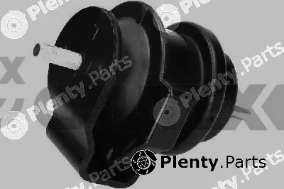 Cautex 769495 — Mounting, engine