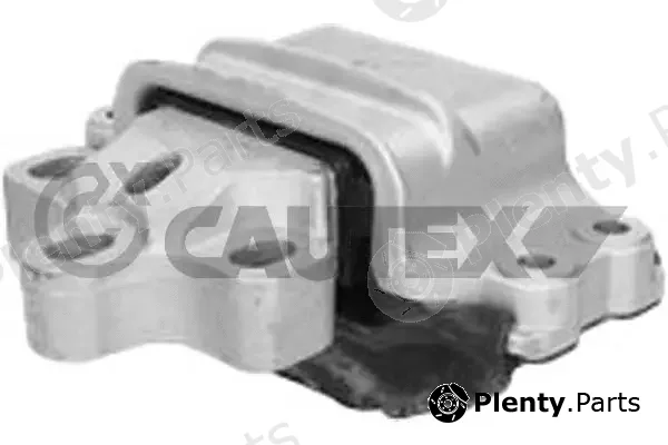 Cautex 774641 — Mounting, engine