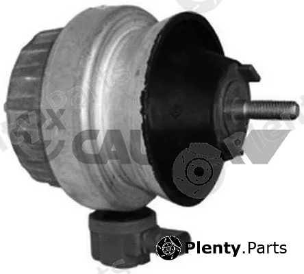 Cautex 756317 — Mounting, engine
