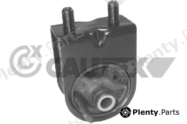 Cautex 760135 — Mounting, engine