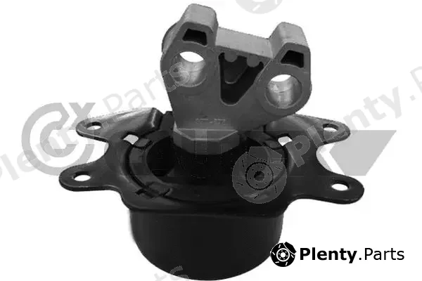 Cautex 755958 — Mounting, engine