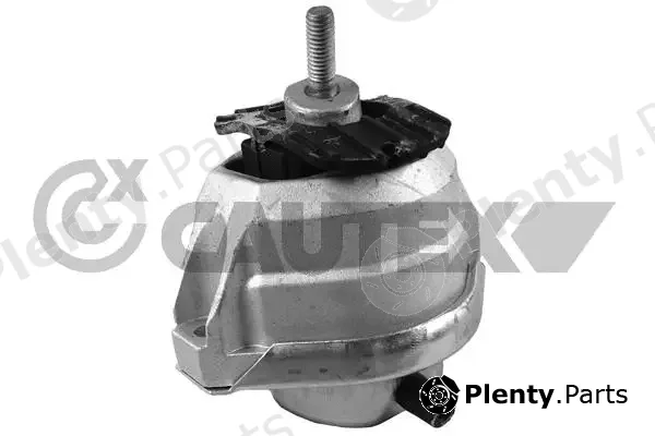 Cautex 201648 — Mounting, engine