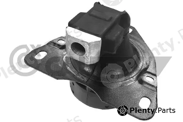 Cautex 020907 — Mounting, engine