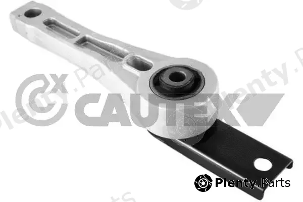 Cautex 759325 — Mounting, engine