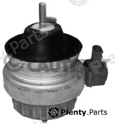 Cautex 756275 — Mounting, engine