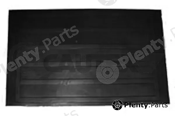 Cautex 900015 — Mudflap