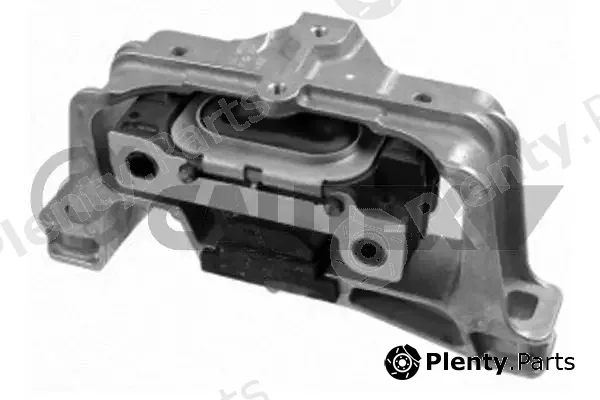 Cautex 759270 — Mounting, engine