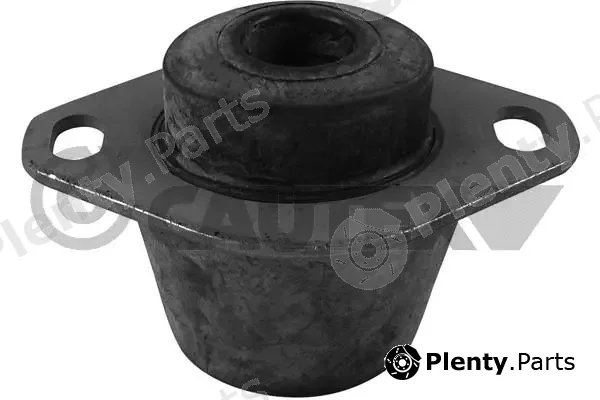 Cautex 759081 — Mounting, engine