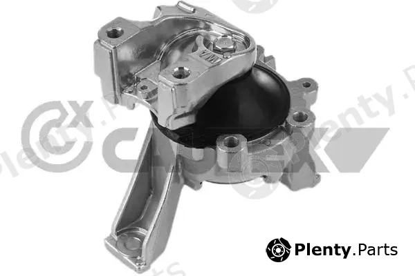 Cautex 756527 — Mounting, engine