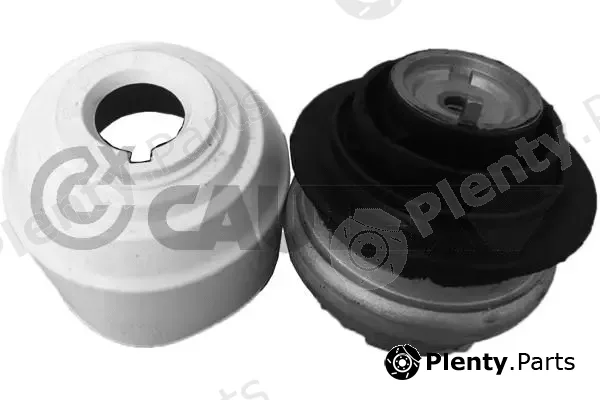 Cautex 759268 — Mounting, engine