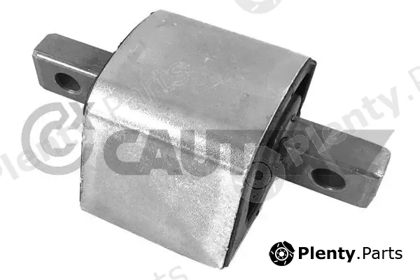 Cautex 756478 — Mounting, engine