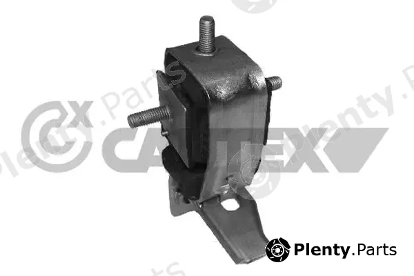 Cautex 755950 — Mounting, engine