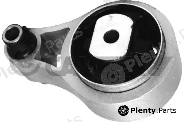 Cautex 482528 — Mounting, engine