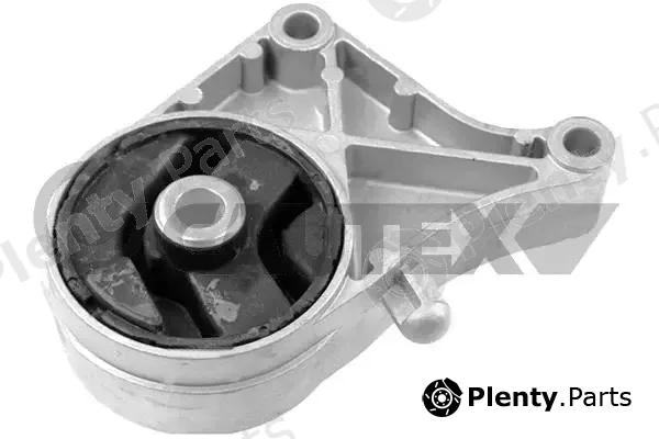 Cautex 756176 — Mounting, engine