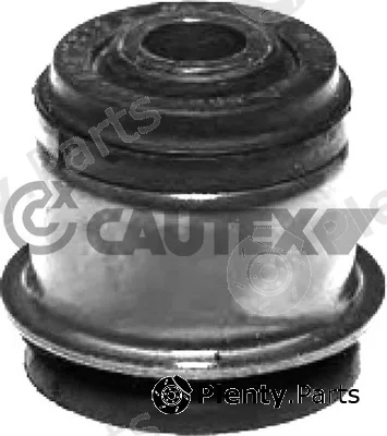 Cautex 760593 — Mounting, engine
