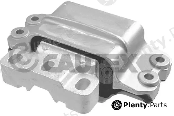 Cautex 770431 — Mounting, engine