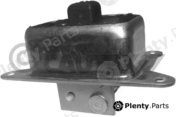Cautex 480313 — Mounting, engine