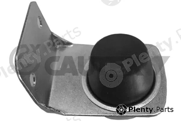 Cautex 954645 — Washer Fluid Pump, window cleaning