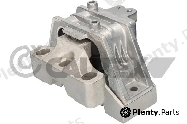 Cautex 776489 — Mounting, engine