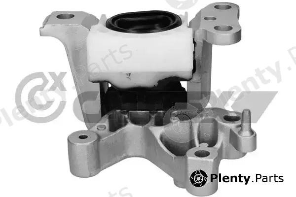Cautex 770450 — Mounting, engine