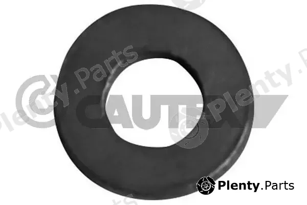Cautex 750027 — Seal Ring, injector