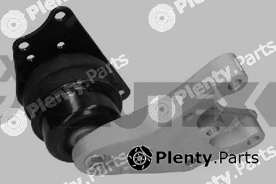 Cautex 461131 — Mounting, engine