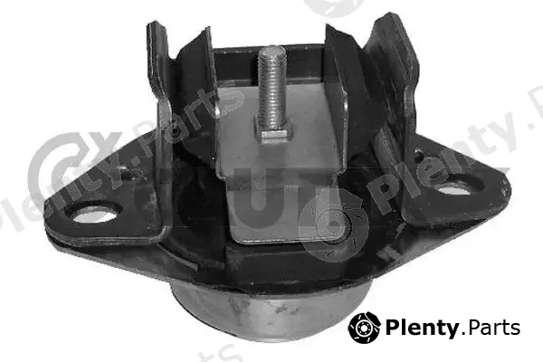Cautex 020906 — Mounting, engine