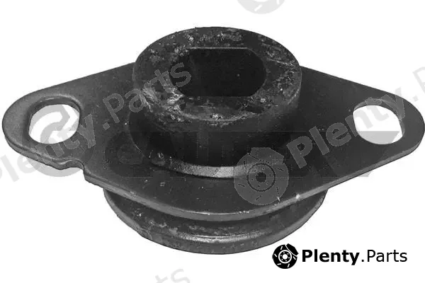 Cautex 020381 — Mounting, engine